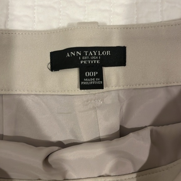 Ann Taylor skirt - Picture 2 of 4